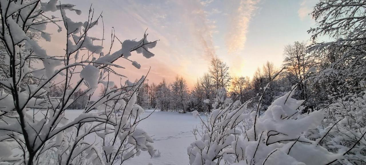 Cozy Log Cabin By Invisible Forest Lodge Rovaniemi Exterior foto